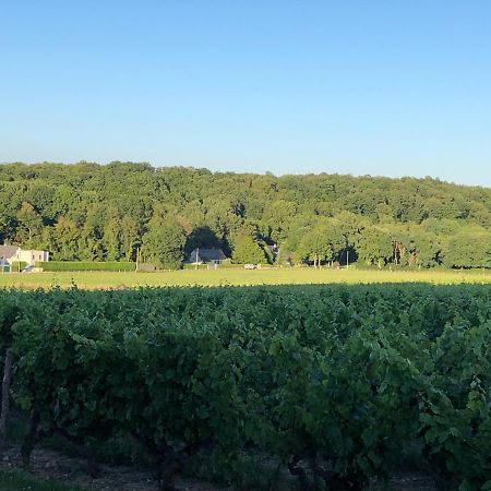 Gite De La Fontaine Bondree Vernou-sur-Brenne Экстерьер фото