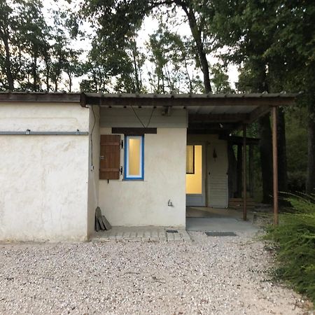 Gite De La Fontaine Bondree Vernou-sur-Brenne Экстерьер фото